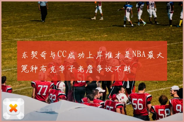 东契奇与CC成功上岸谁才是NBA最大冤种布克华子老詹争议不断