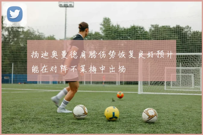 扬迪奥曼德肩膀伤势恢复良好预计能在对阵不莱梅中出场