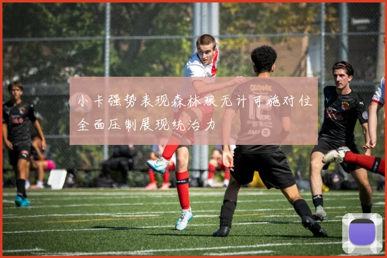 小卡强势表现森林狼无计可施对位全面压制展现统治力